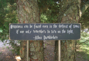 Harry Potter Quote Distressed Wood Sign