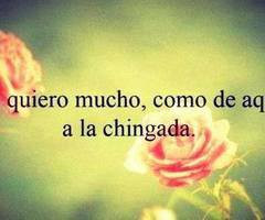 Te Quiero Mucho Quotes