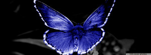 Butterfly Facebook Cover Photos - 4