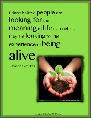 Joseph Campbell quote1
