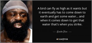 bird can fly as high as it wants but it eventually has to come down ...
