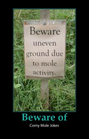 Funny Quotes, Jokes and One Liners About Moles