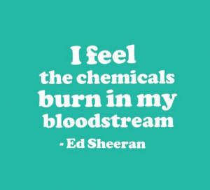 ... image include: ed sheeran lyrics, quote, song, text and bloodstream