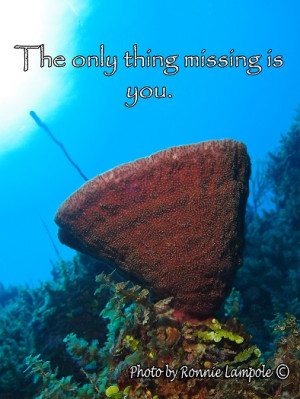 Some scuba diving quotes for you to share. On the left side of the ...