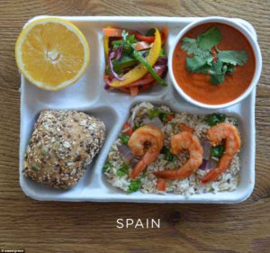 Topic: What school lunches look like arround the world