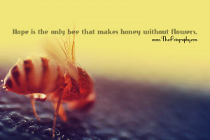 Honey Bee Quotes Honey bee wallpaper