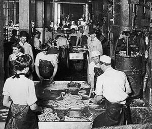 Meat Packing Industry Progressive Era