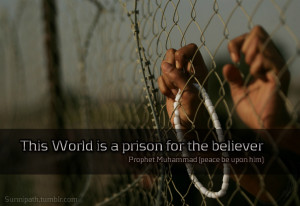 Prison quote #6
