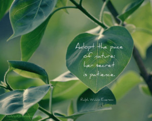 Adopt The Peace Of Nature, Her Secret Is Patience ”