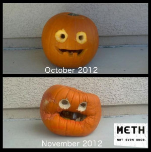 ... put it out in September so it will look like a meth head in October