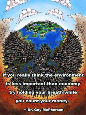 If you really think the environment is less important than economy ...