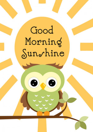 Morning Owl