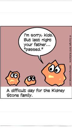 ... stone family ;) kidney stones humor, kidney stones funny, kidney stone
