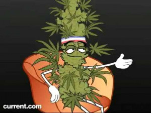 marijuana-vs-crystal-meth-funny.jpg