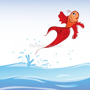 Red Fish Jumping Out of Water
