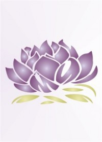 Lotus Plant Image Search Results