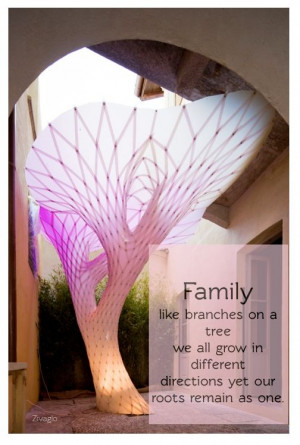 trees roots family quotes