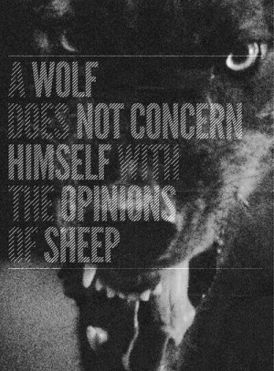 Dont be a sheep