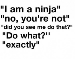 Funny-Quotes—I-Am-A-Ninja