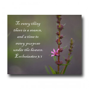 Funny Quotes Contact Us DMCA Notice