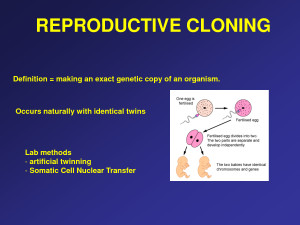 Reproductive Cloning...