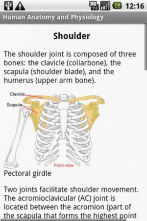 view bigger anatomy and physiology for android screenshot