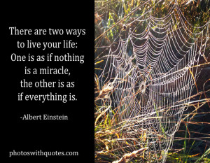 Back to Albert Einstein Quotes or Home/Favorites