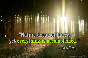 ... Nature does not hurry, yet everything is accomplished.” ~ Lao Tzu