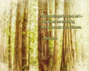 Robert Frost Quote And Muir Woods Photograph