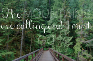 The mountains are calling and I must go - John Muir