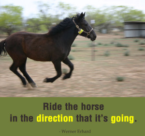 Ride the horse in the direction that it's going
