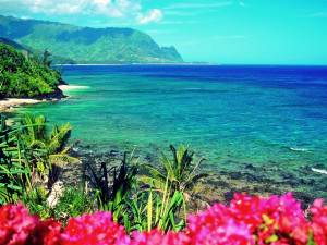 Hawaii Vacations Looking