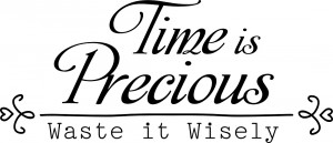 Family Quotes | Vinyl Wall Decals - Time is Precious, Waste it Wisely!