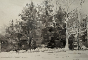 Painter's Days - Dean Taylor Drewyer