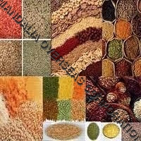 pulses dal pulses dal accepts only export inquiries mandalia overseas ...