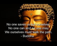 Buddha Quote More