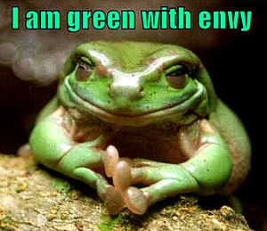 Animal Humor frog funny