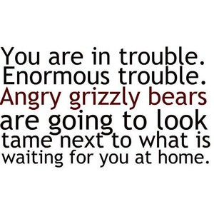 angry grizzly bears eclipse quote (: