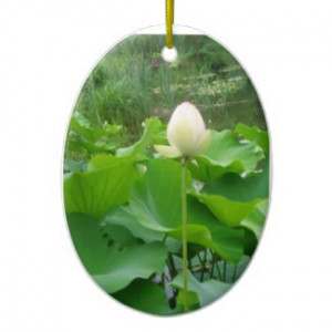 Water Lily Hazrat Inayat Khan Quote Ornament by Rinchen365flower