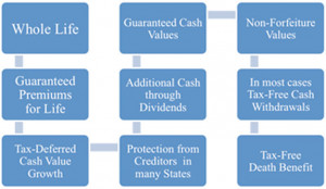 Whole Life Insurance Online