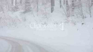 Related Pictures forests and climate change