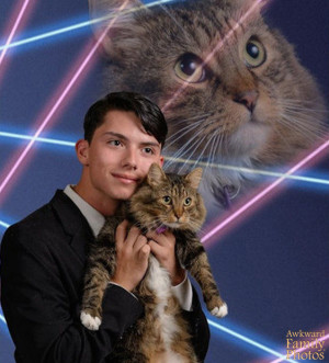 Awkward News Update: Laser Cat