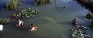 Image of Anaconda (film)