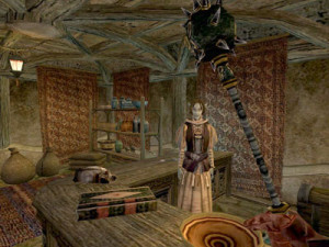 The Elder Scrolls III Morrowind Picture Slideshow