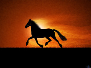 Horses More horse wallpapers!