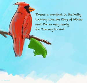 funny cardinals