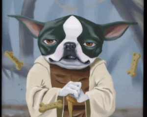 Yoda Terrier - Boston Terrier magne t ...