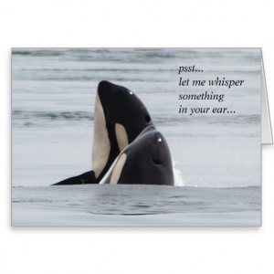 Orca Whale Killer Whale Hug Greeting Card