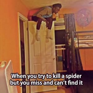 funny-bedroom-door-sitting-drinking-spider