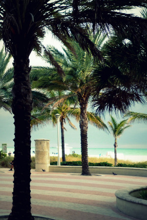 Miami Beach Quotes Tumblr ~ Dmca October South Miami Beach At Night X ...